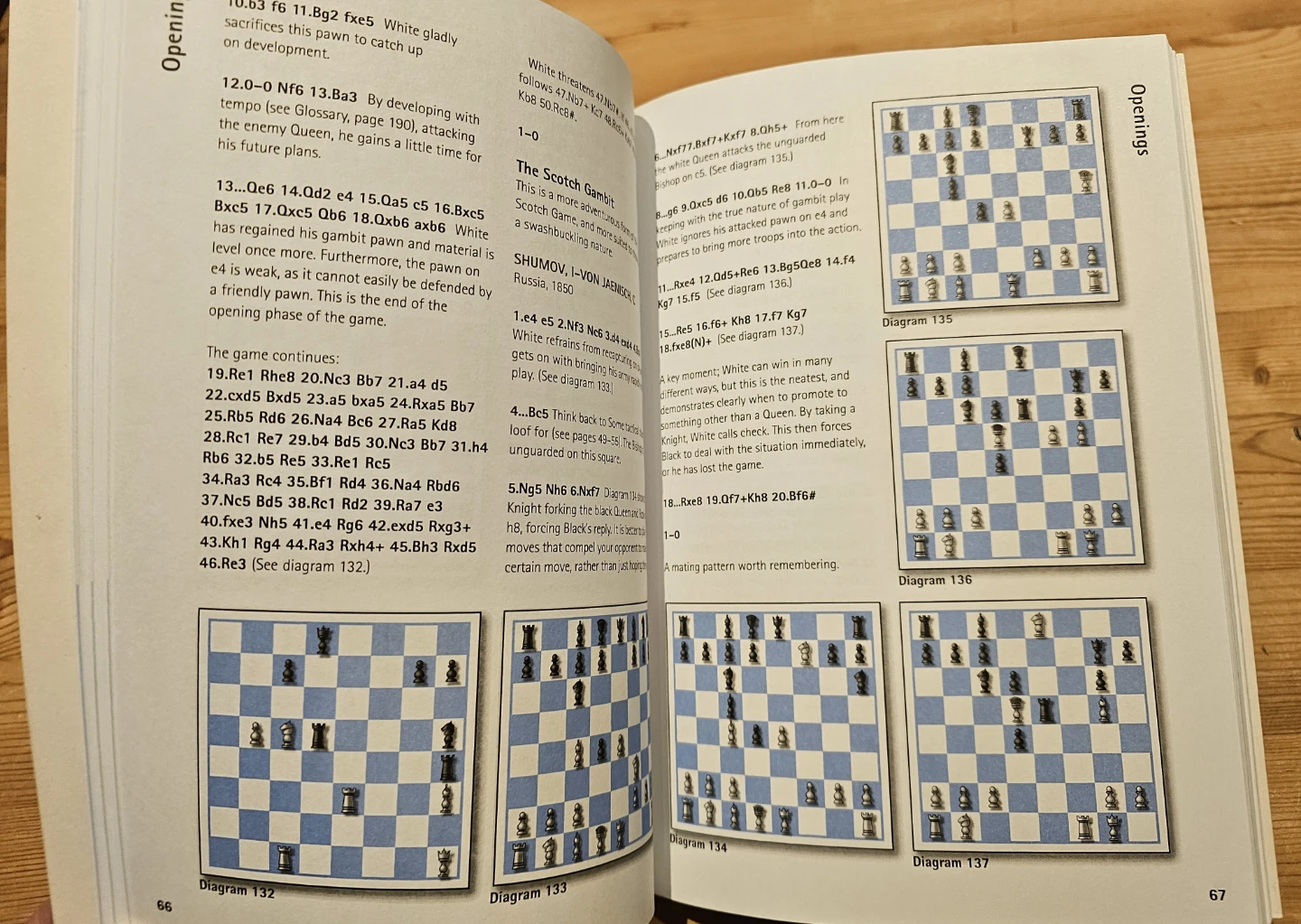 Basic Chess Book by David Levens and Hamlyn - photo 5