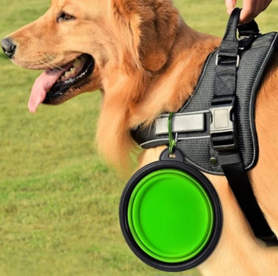 NEW!  Collapsible Dog Bowl - 2 Pack Travel Food Water Bowl