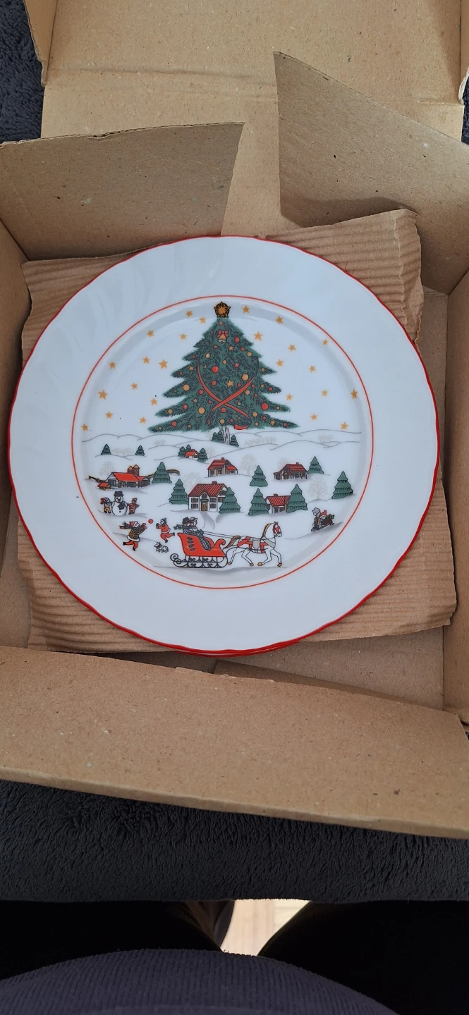 2 Christmas Village Scene Plates🏆