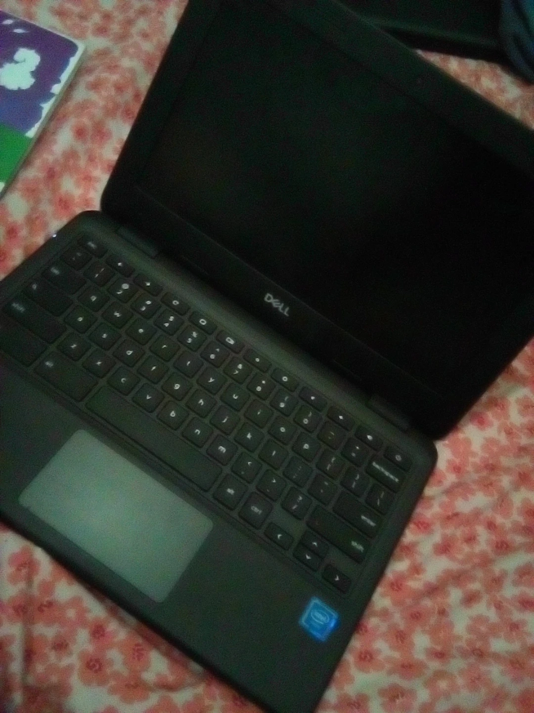 Dell Chromebook 11 model: 3100 - photo 2