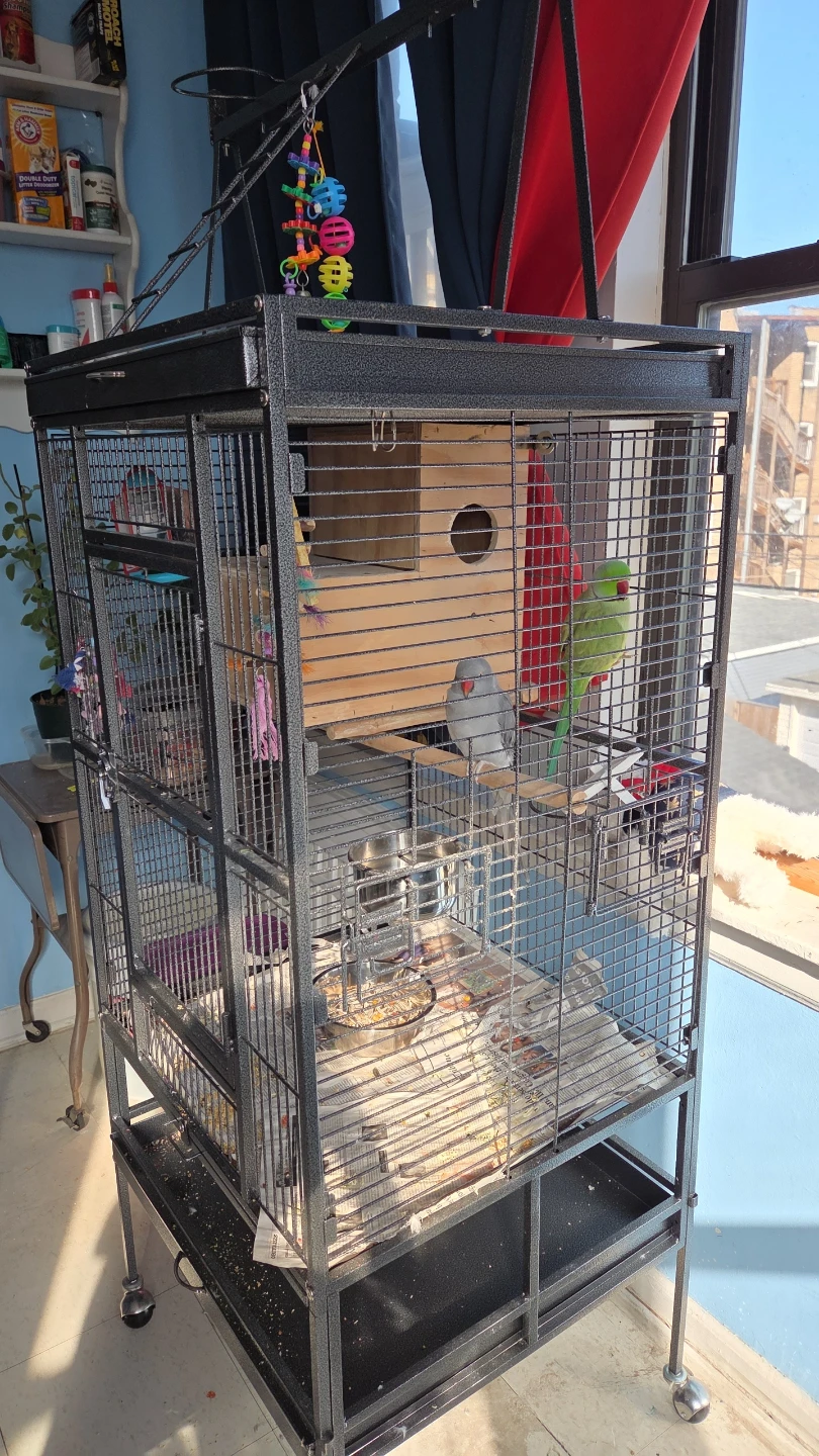 Large Metal Bird Cage with Accessories