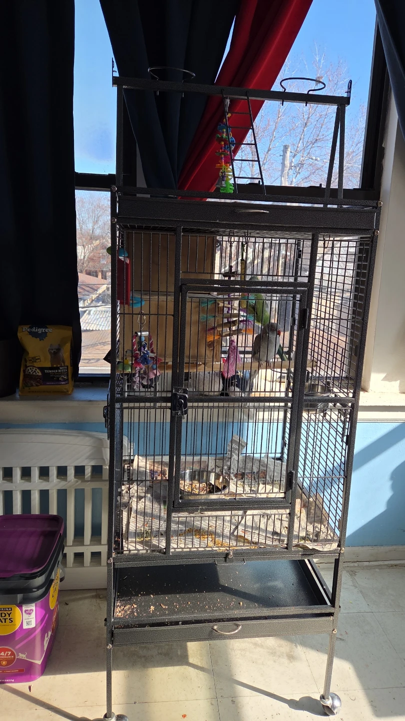 Large Metal Bird Cage with Accessories - photo 2
