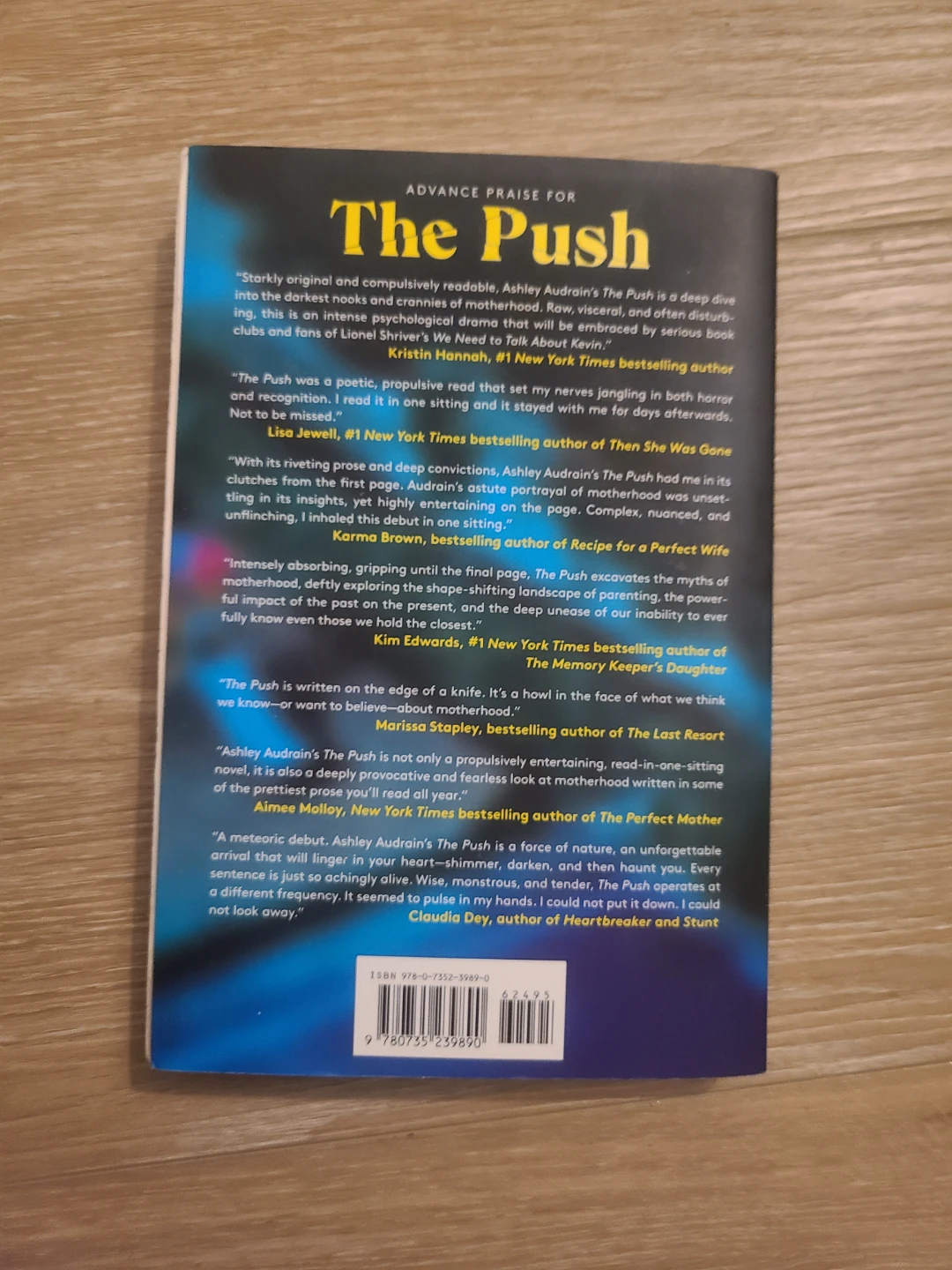 🏆 The Push by Ashley Audrain Novel - photo 2