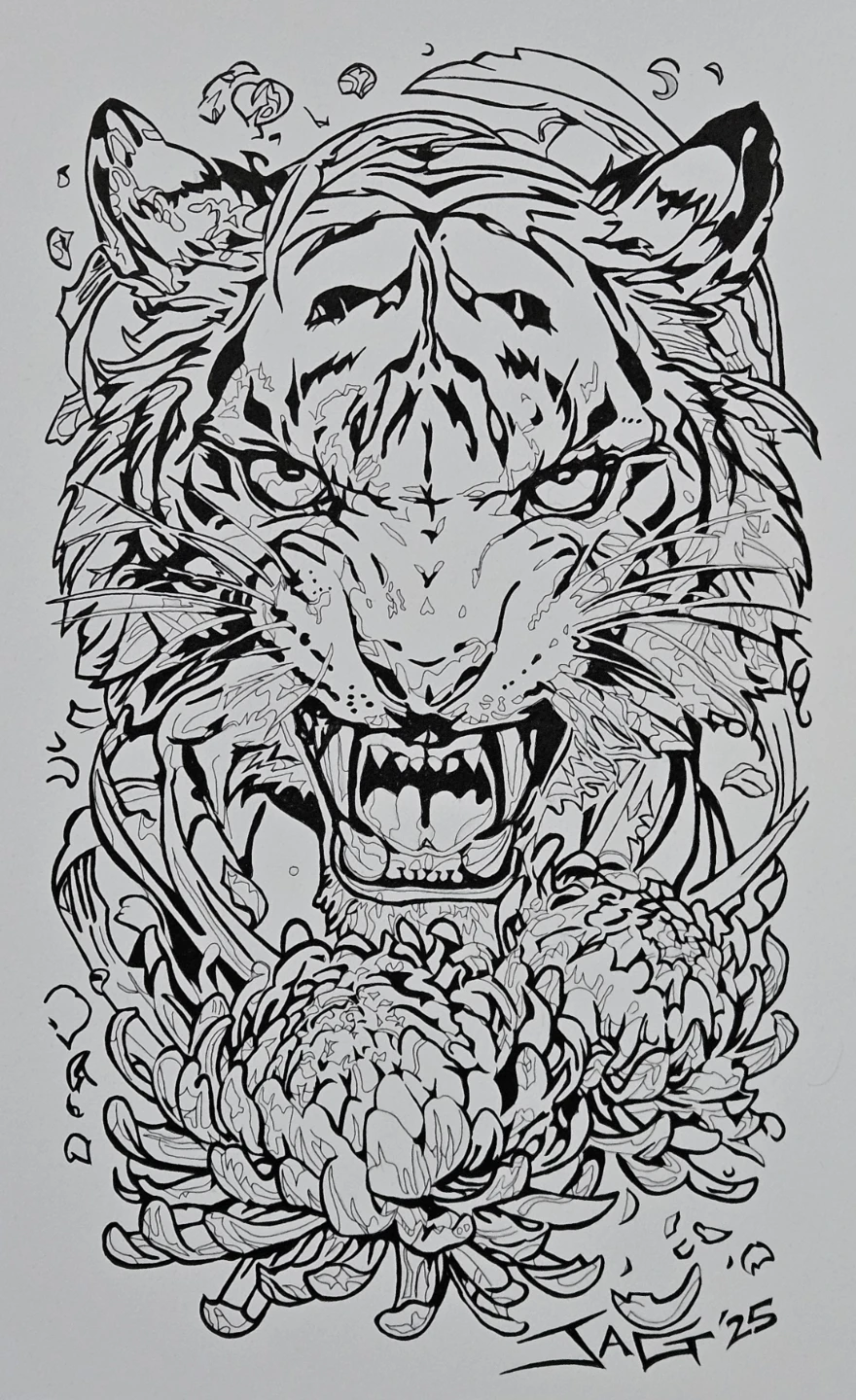 Tiger and Chrysanthemum Drawing