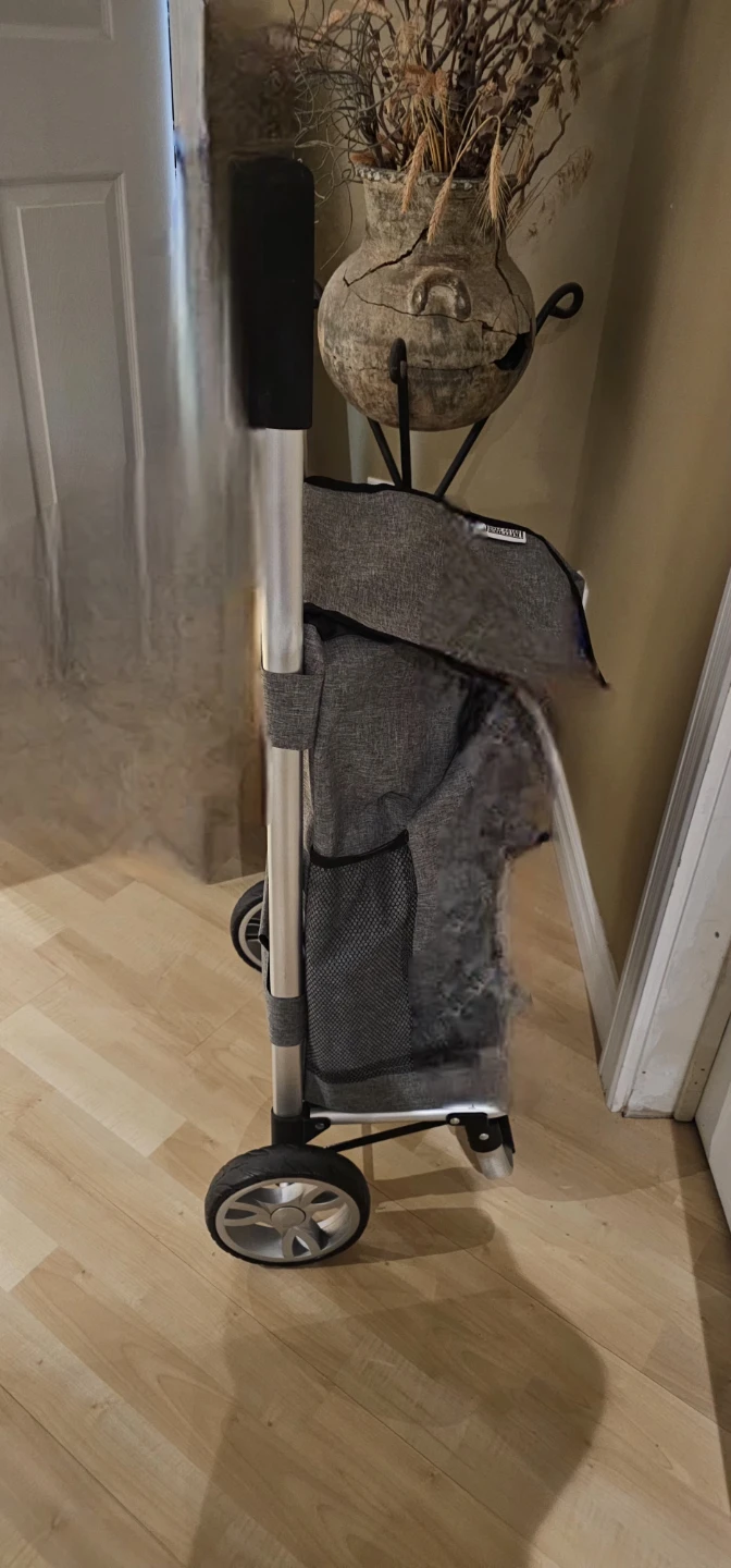 Shopping cart/buggy - photo 3