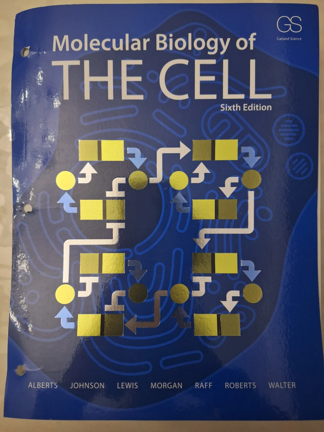 Molecular Biology of the Cell: Sixth Edition Loose leaf Textbook
