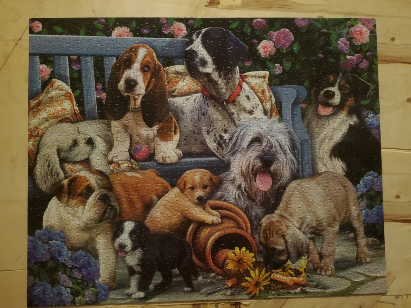 DOGS ON A BENCH PUZZLE 🏆 - photo 2