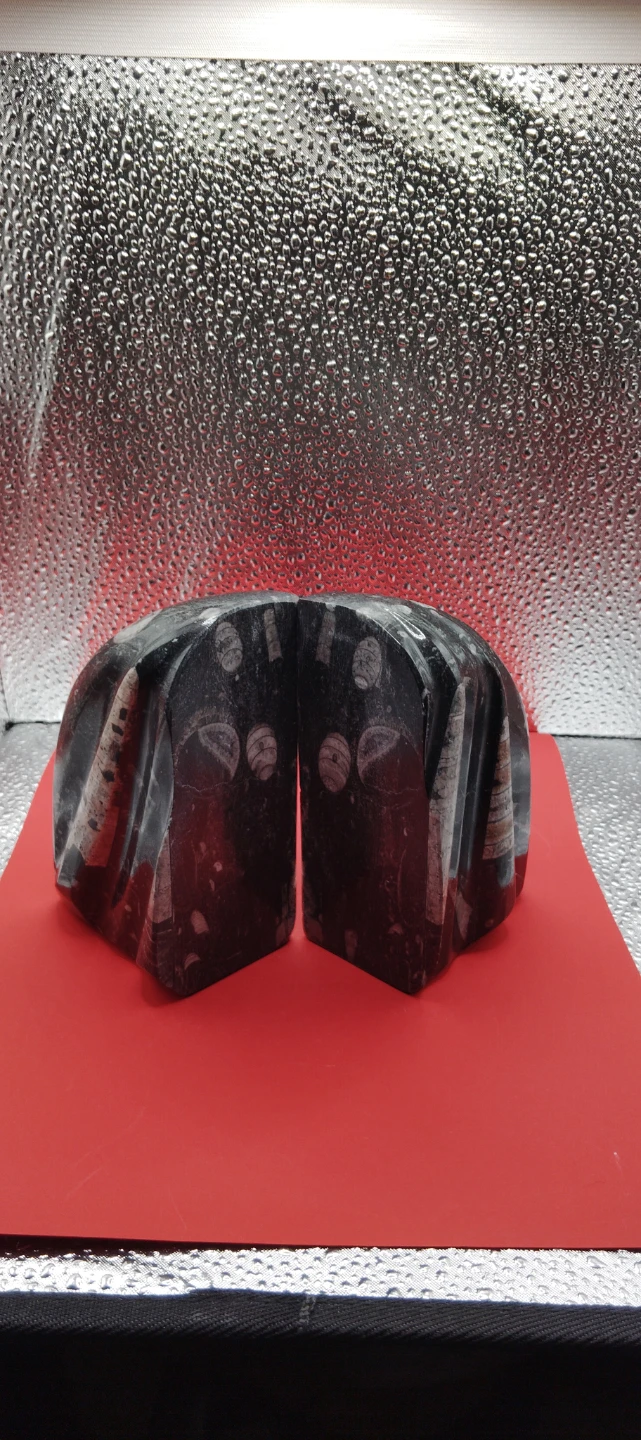 Fossil Ammonite Bookends - photo 3