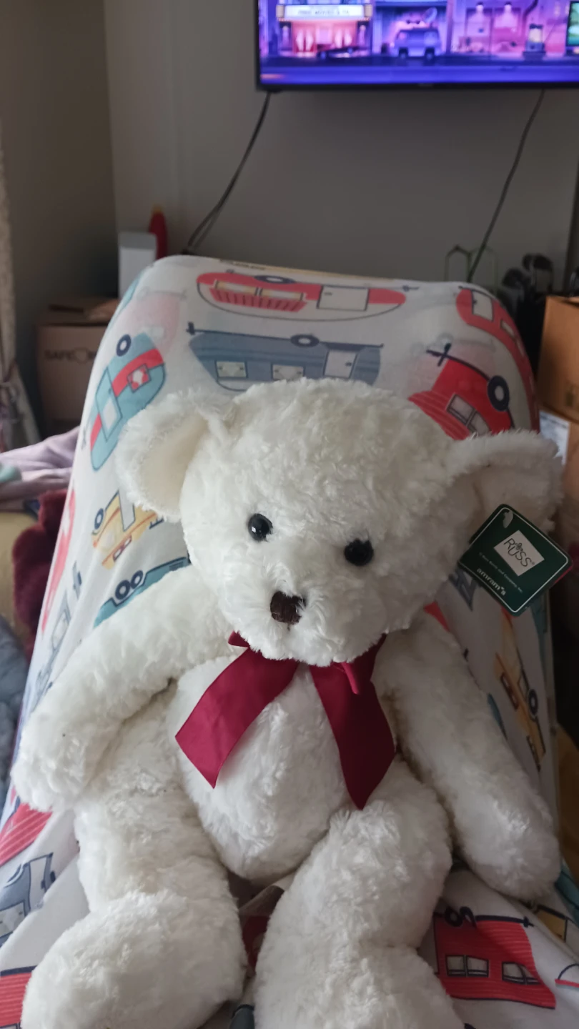 White Teddy Bear with Red Bow (Vintage)
