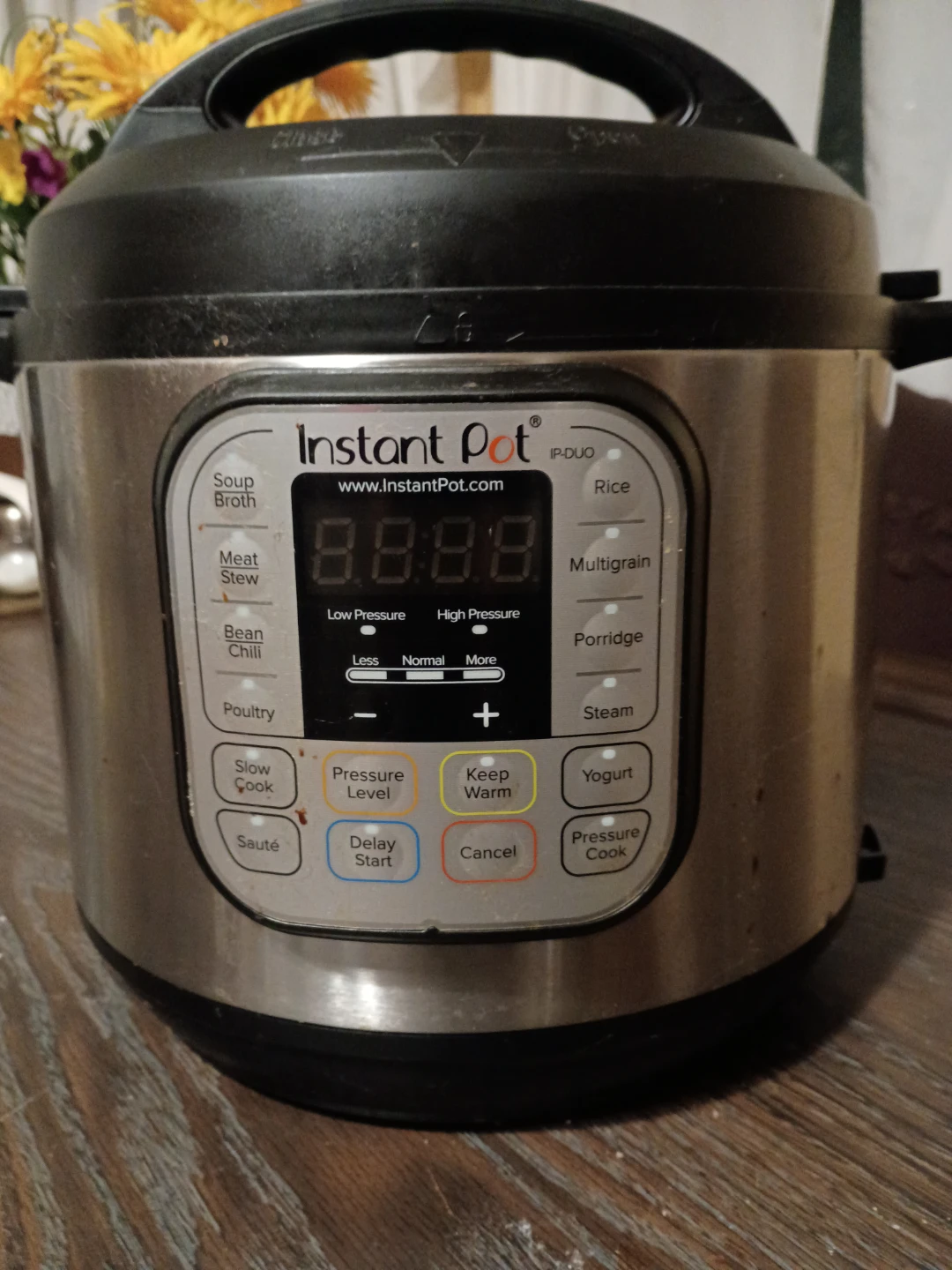 Instant Pot IP-DUO Multi-Cooker