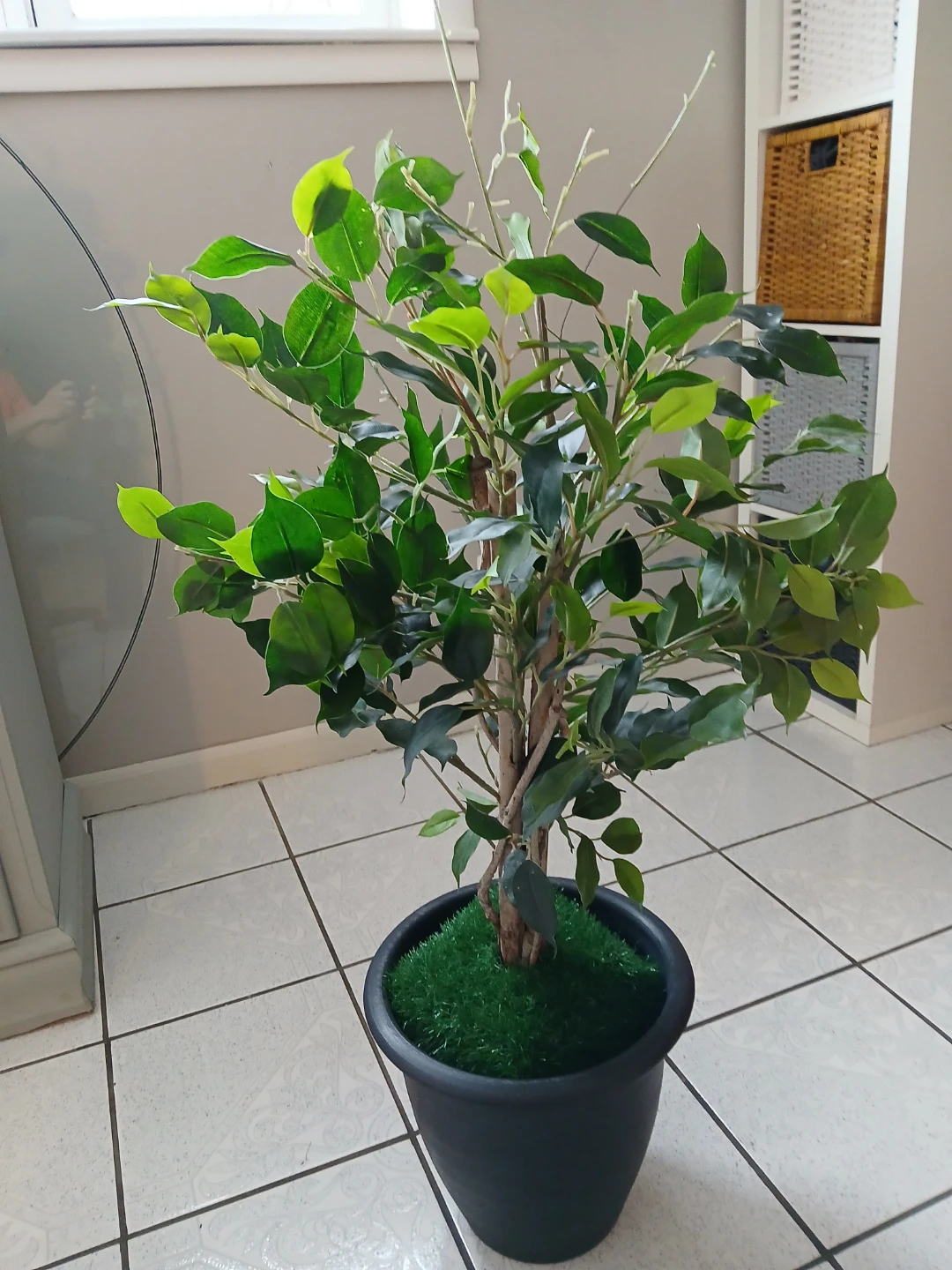 Artificial Ficus Tree in Black Pot - photo 5