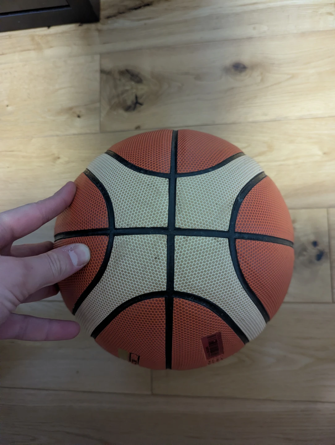 Coalition basketball - photo 4