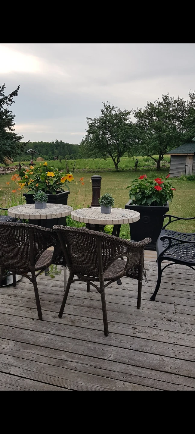 Pair  outdoor/indoor  Tables and 2 wicker chairs