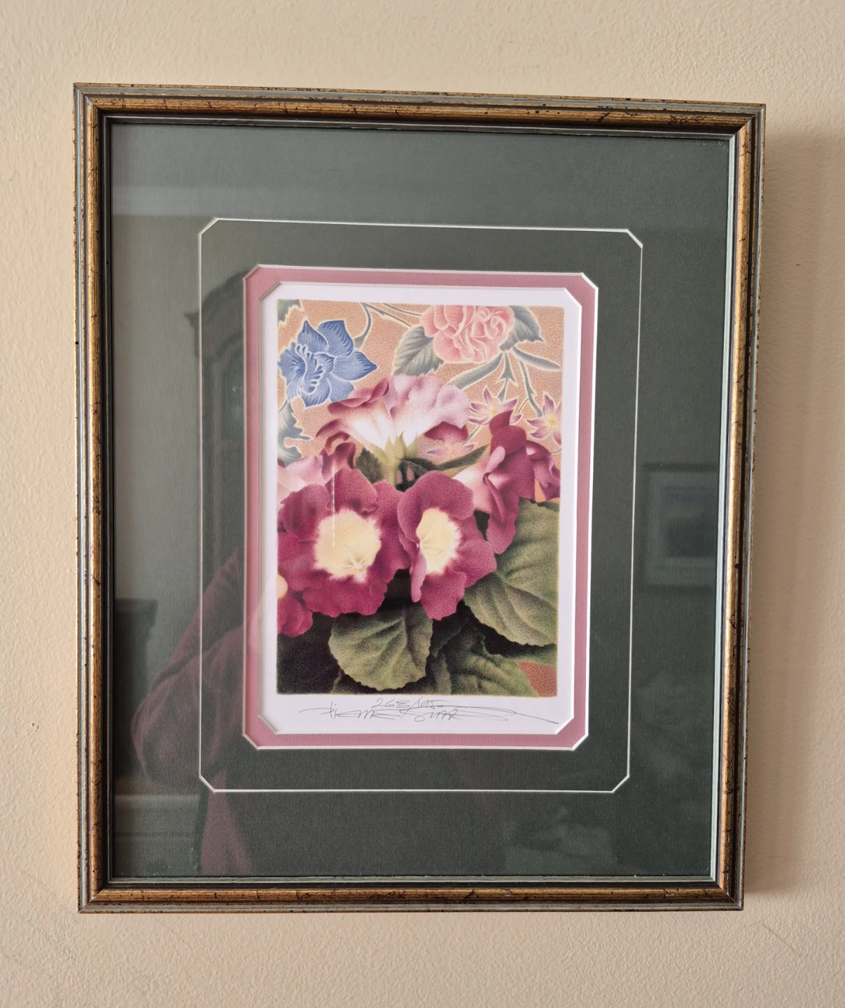 Limited edition art print  Gloxinia in Bloom