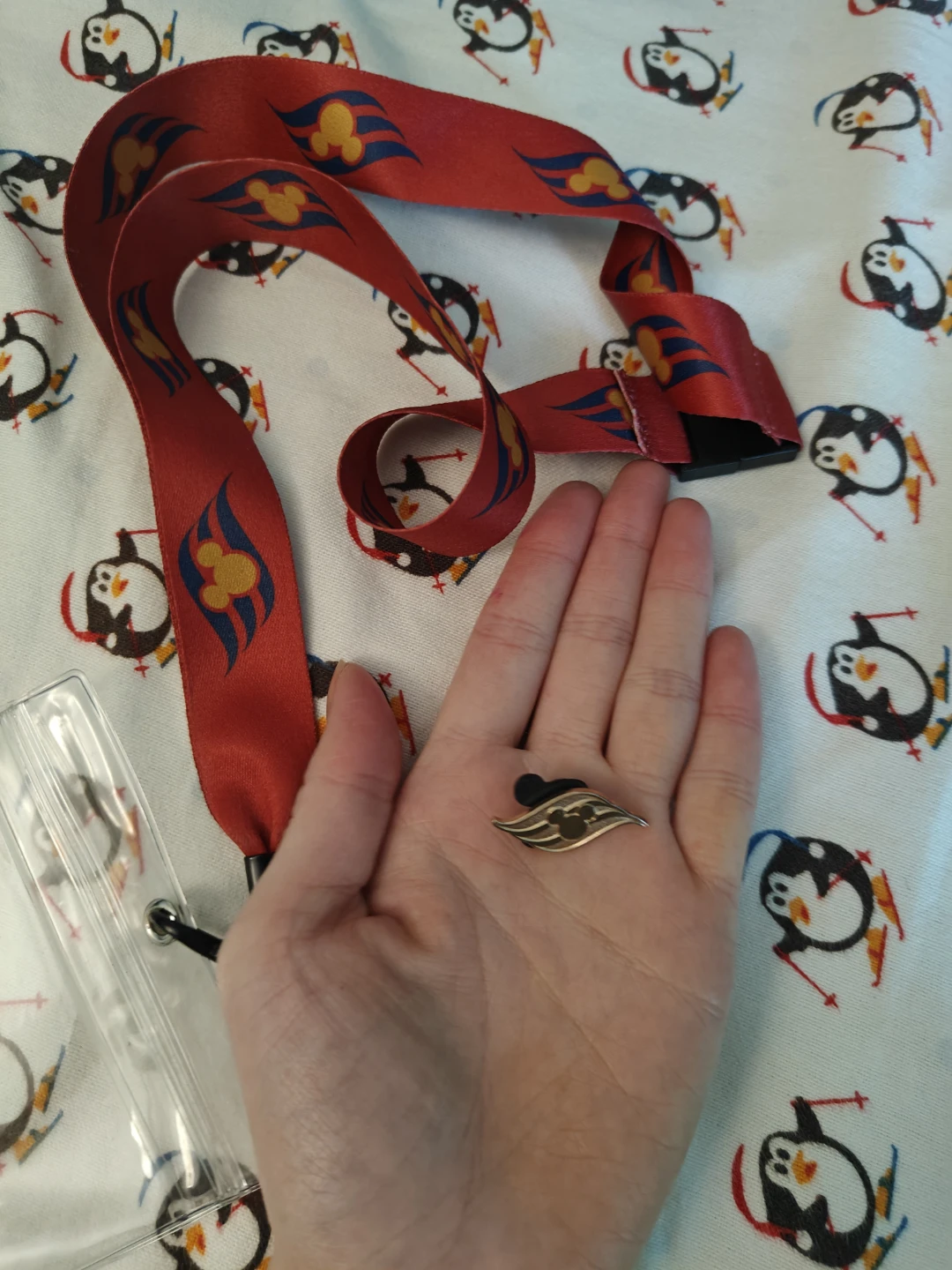 Disney Cruise Line Lanyard & Pin Set