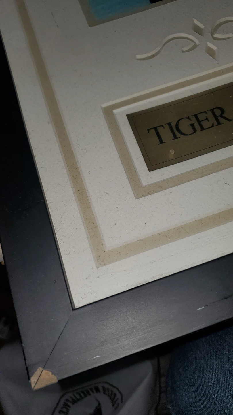 Tiger Woods Framed Golf Photo with Nike Golf Ball - photo 2