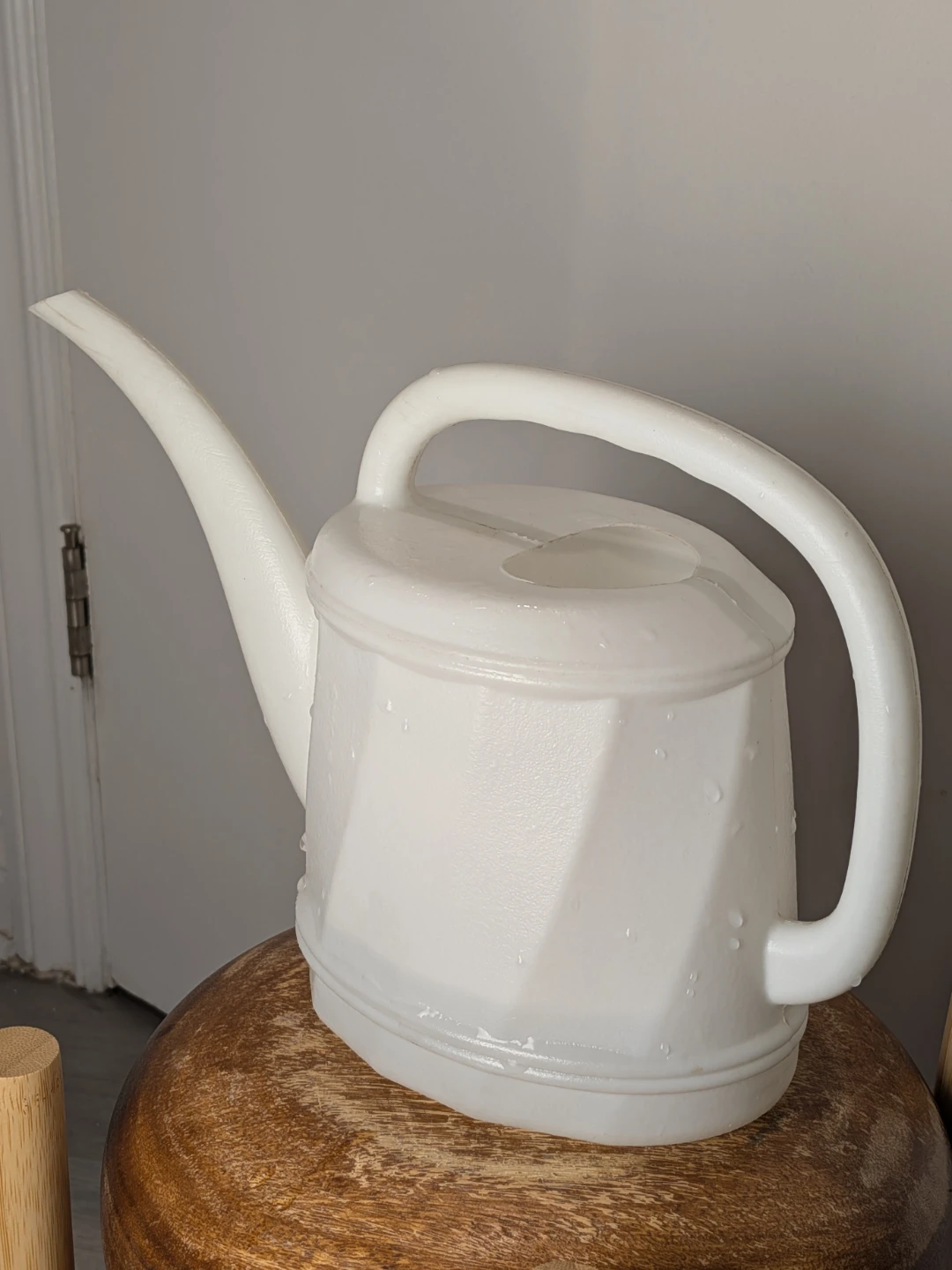 White Watering Can 🥕 - photo 2