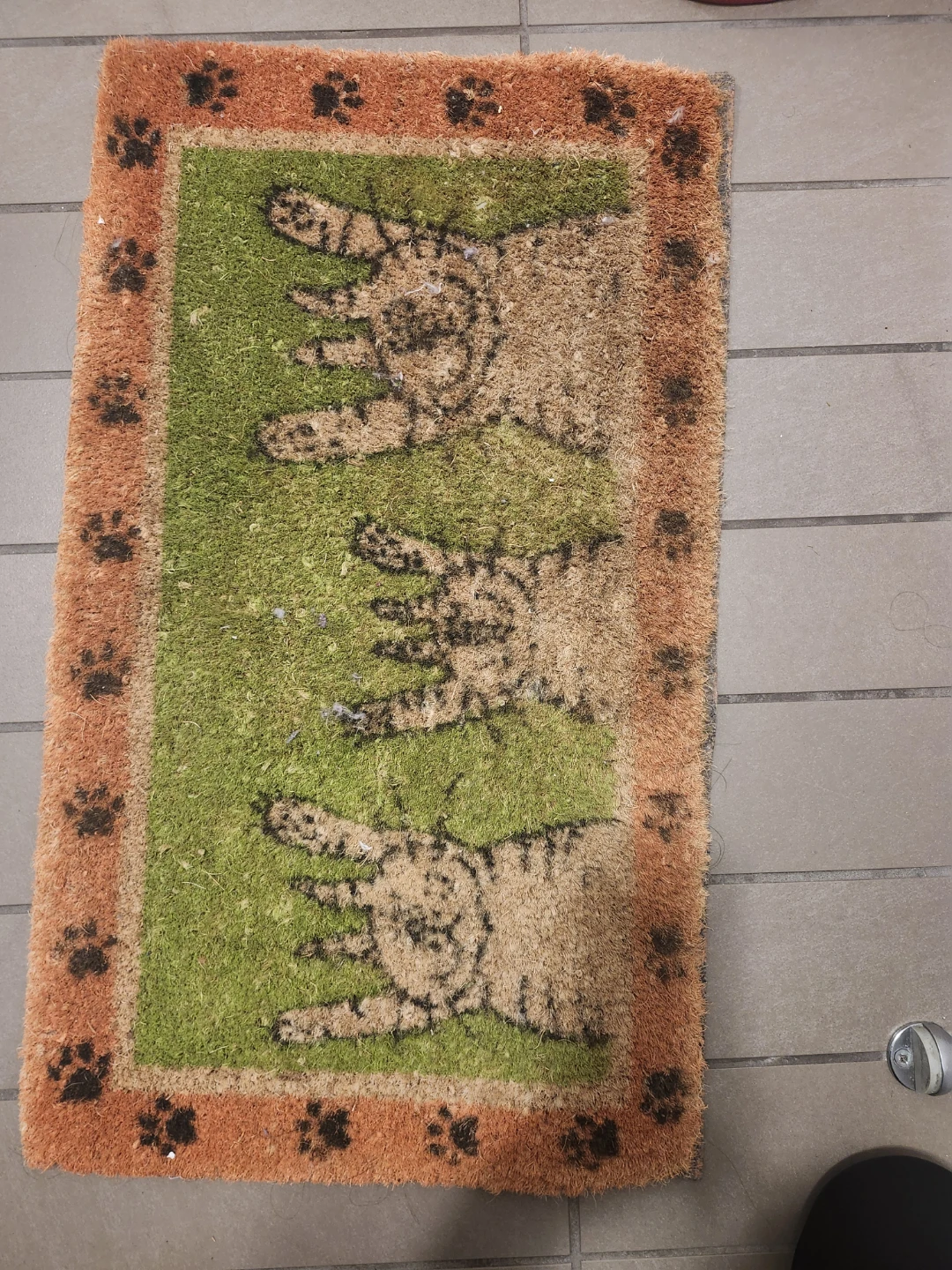 Coir Doormat with Cat Paw Print Border