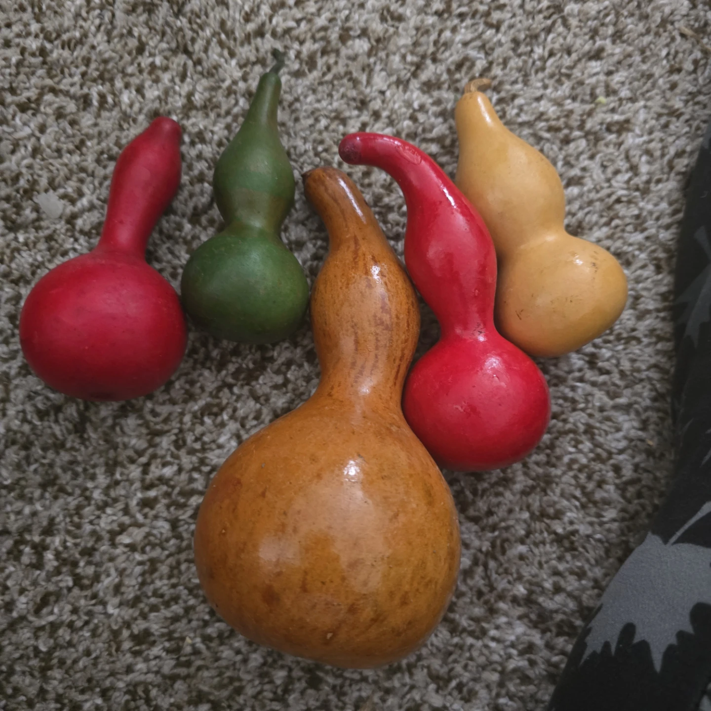 Decorative Gourds - Set of 5