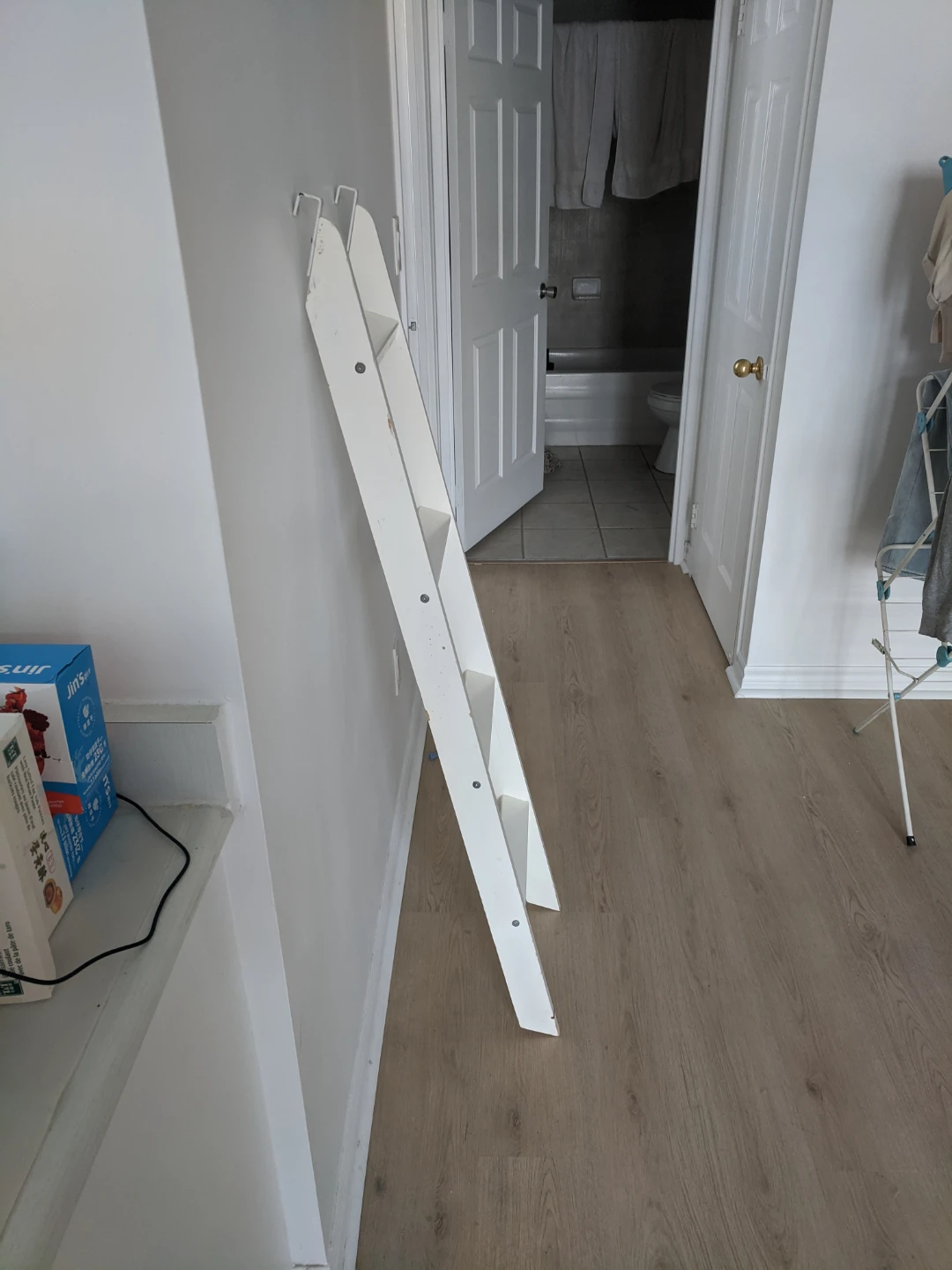 White Ladder - photo 2