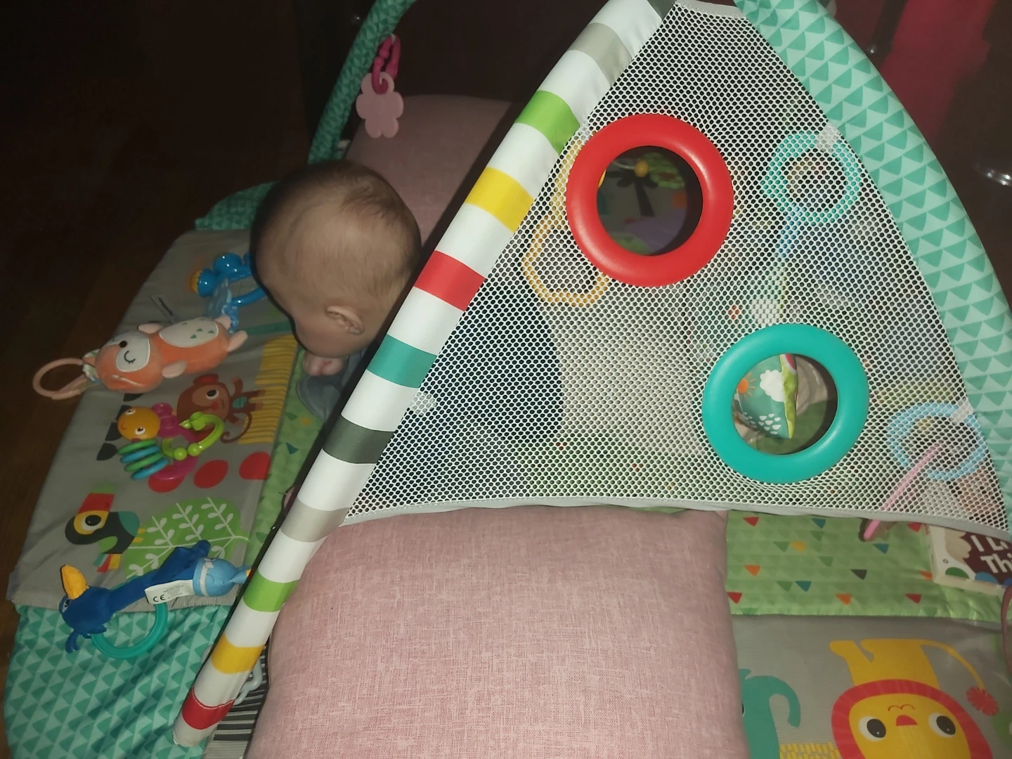 Baby Play Gym Mat with Toys