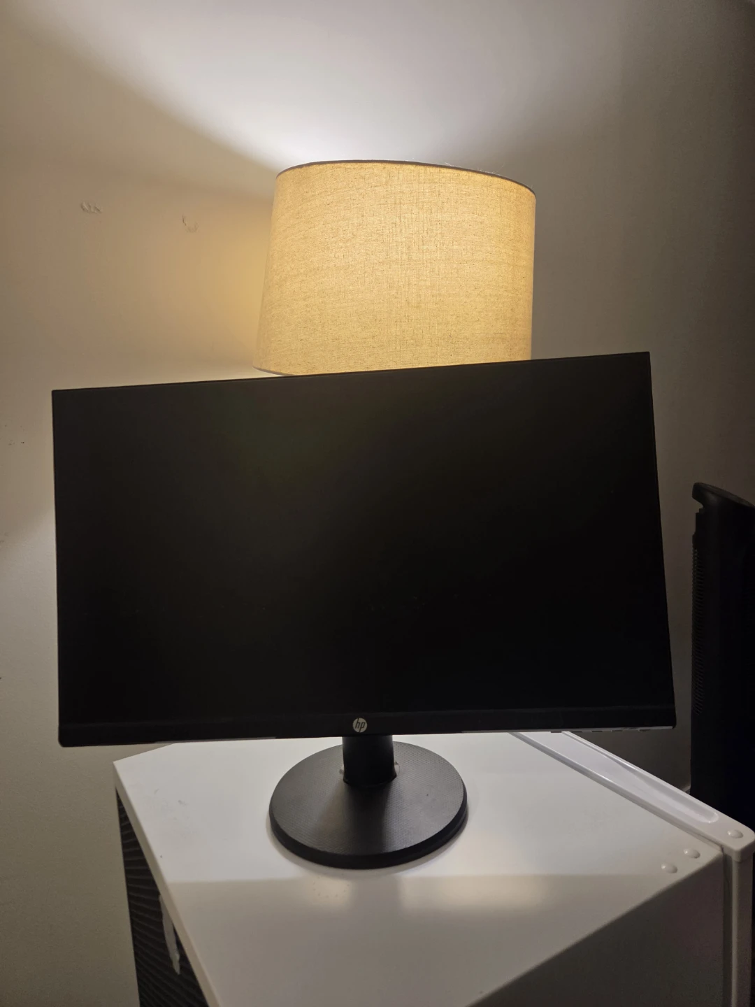 HP P24g G4 Computer Monitor