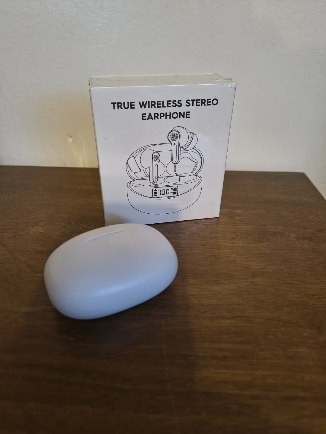 True Wireless Stereo Earphones