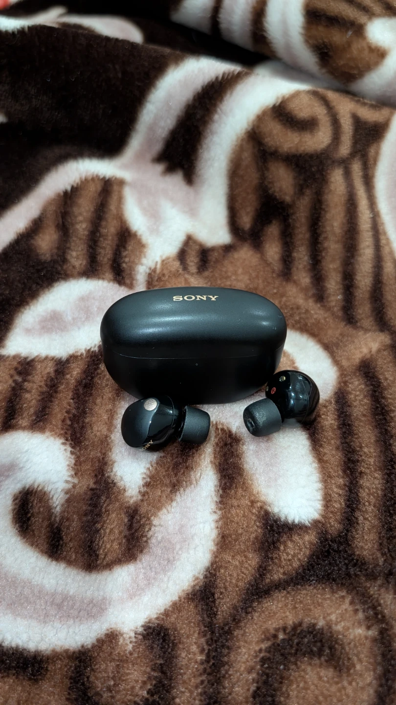 Sony WF-1000XM5 Wireless Earbuds - photo 3