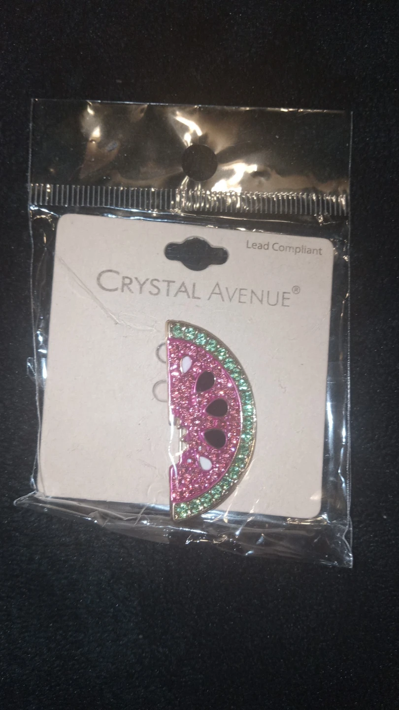 Watermelon Earrings/Pin