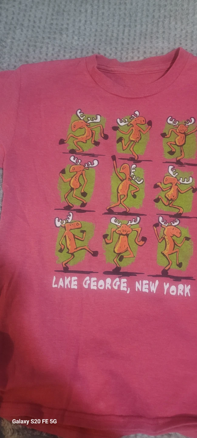 Pink Lake George New York Graphic T-Shirt