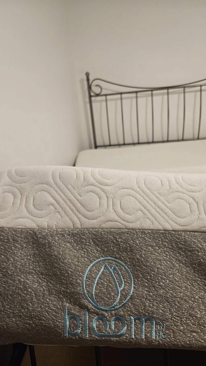 Bloom Mattress