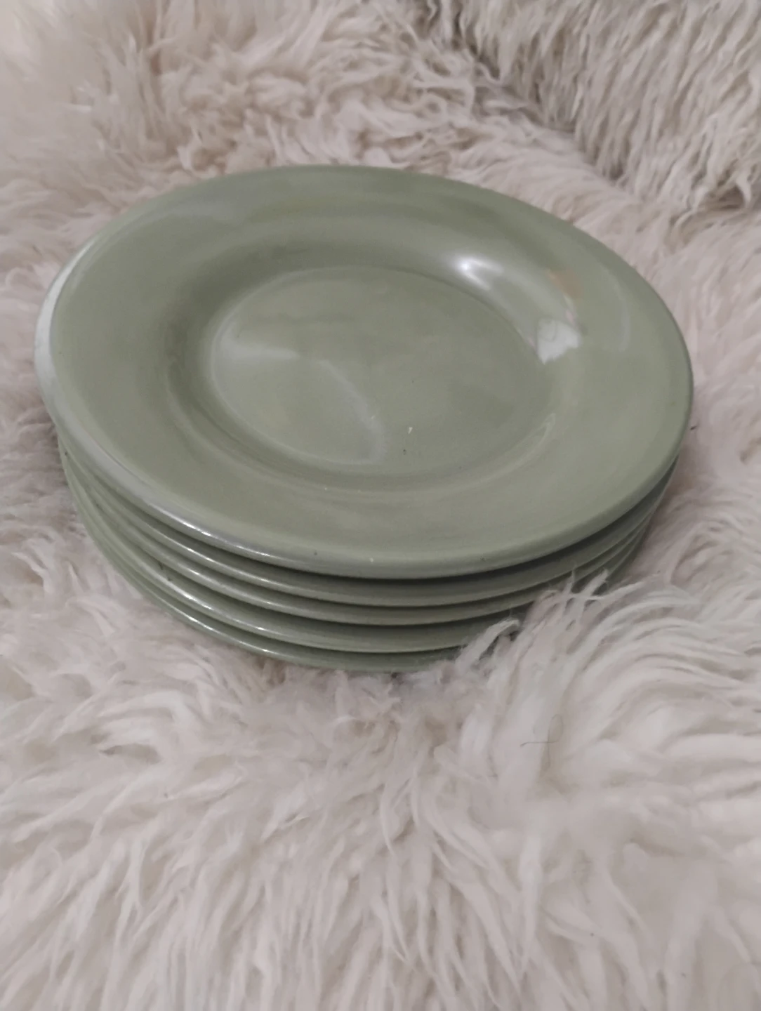 🥕 Set of 5 Sage Green Dinner Plates