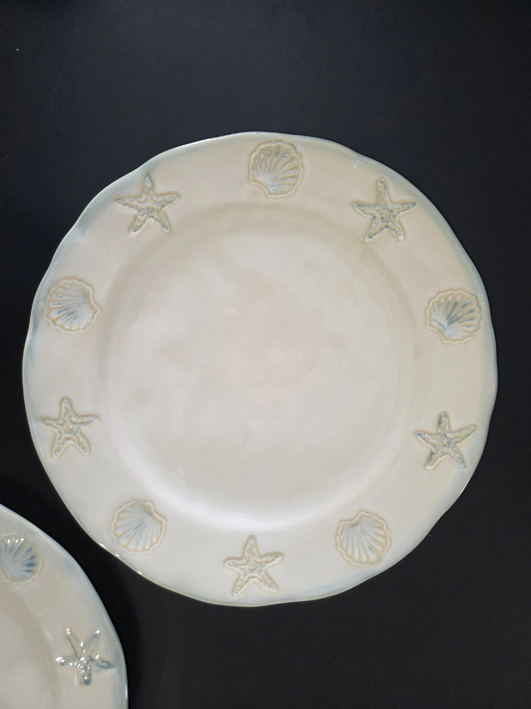 Home Studio SHORELINE Collection Plate(s) - photo 3