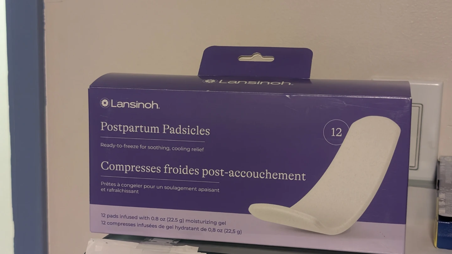 Lansinoh Postpartum Padsicles - 12 Count