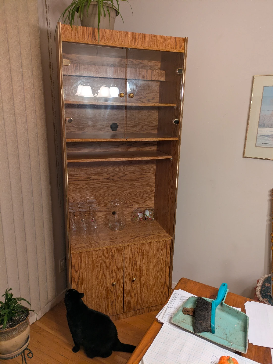 Vintage Wooden Display Cabinet with Glass Doors and light