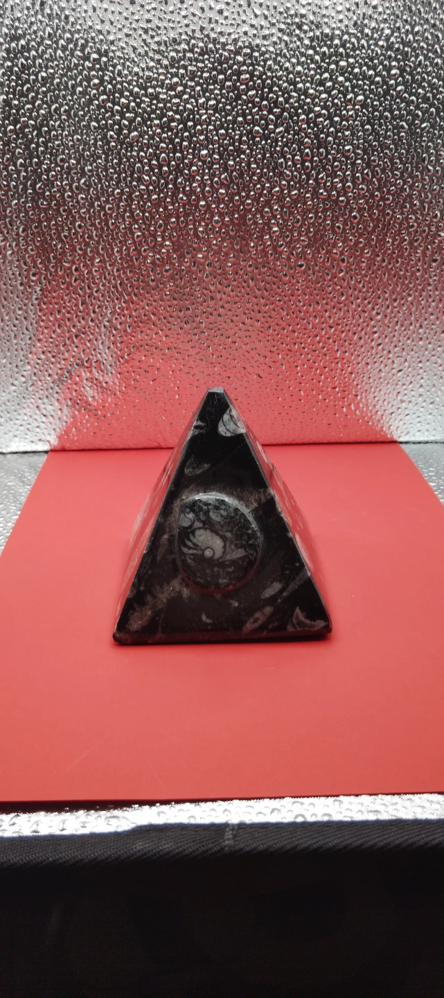 Orthoceras Ammounit Fossil Pyramid