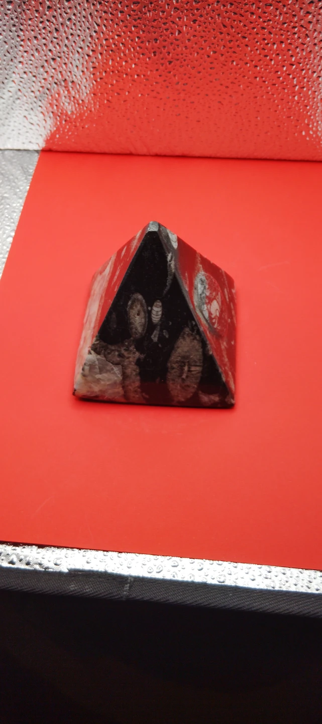Orthoceras Ammounit Fossil Pyramid - photo 3