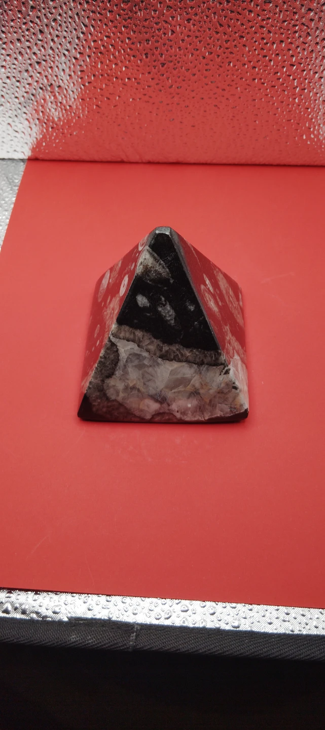 Orthoceras Ammounit Fossil Pyramid - photo 4