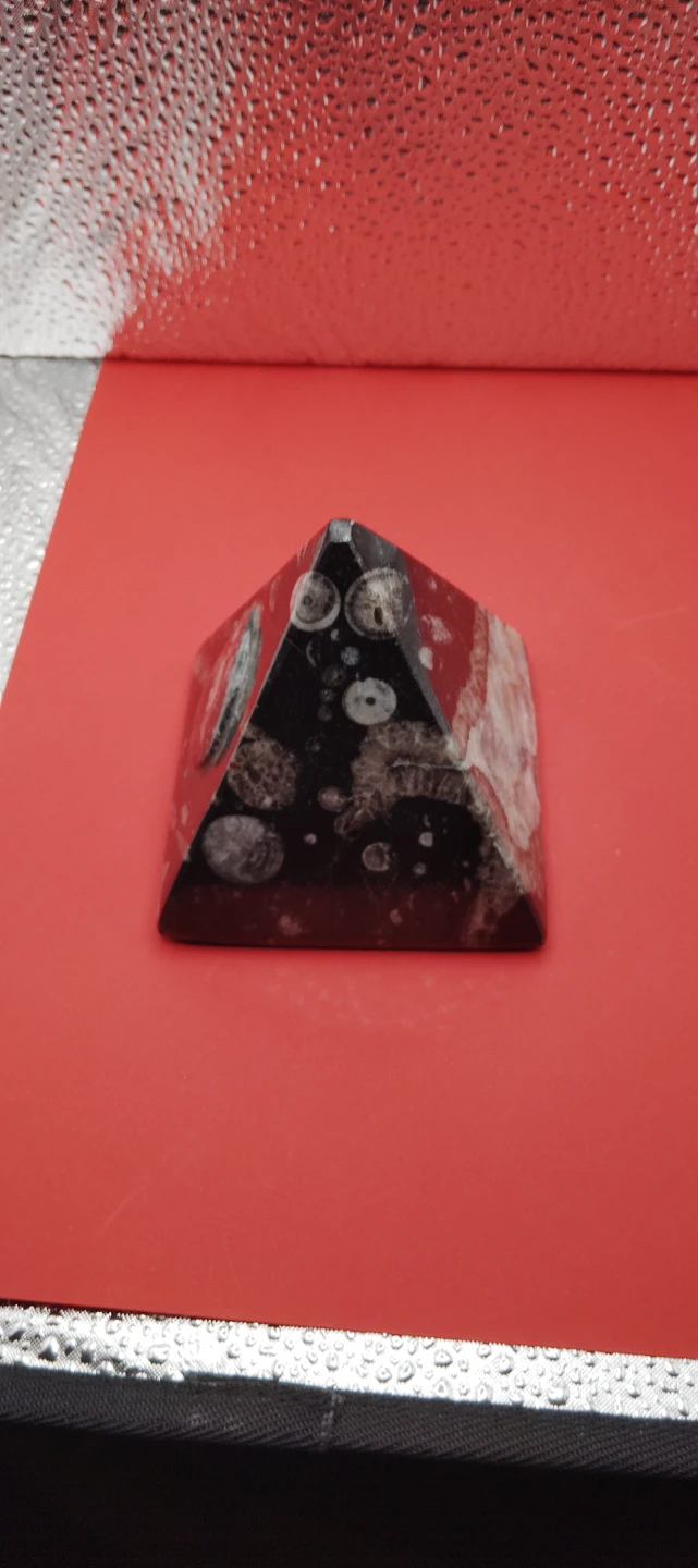 Orthoceras Ammounit Fossil Pyramid - photo 5