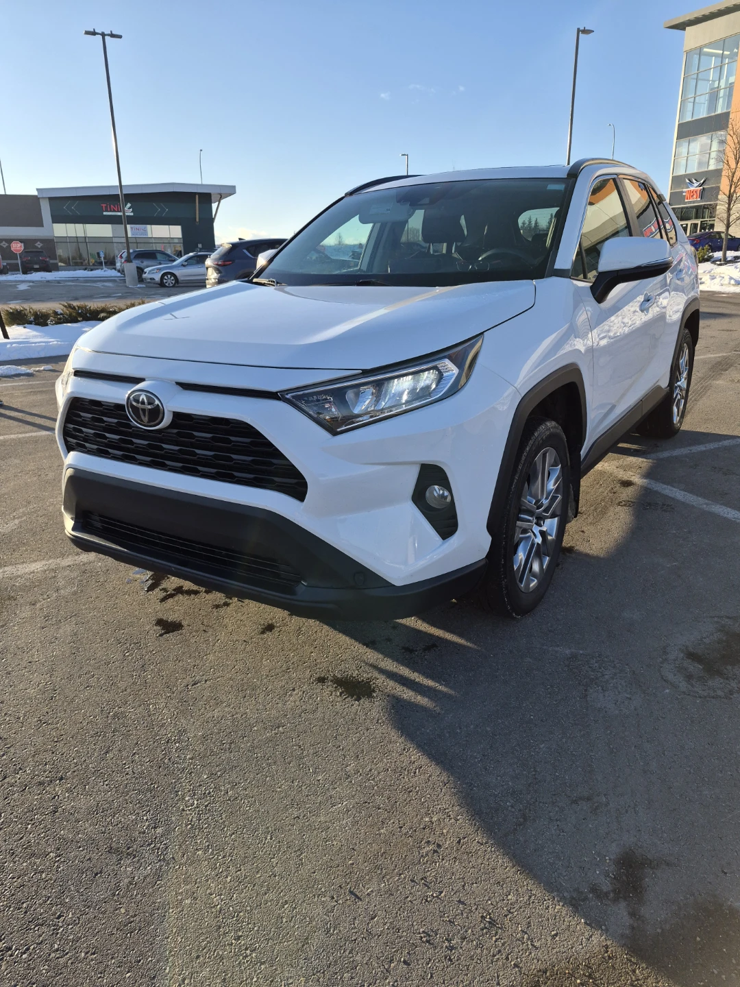 White Toyota RAV4 XLE AWD SUV