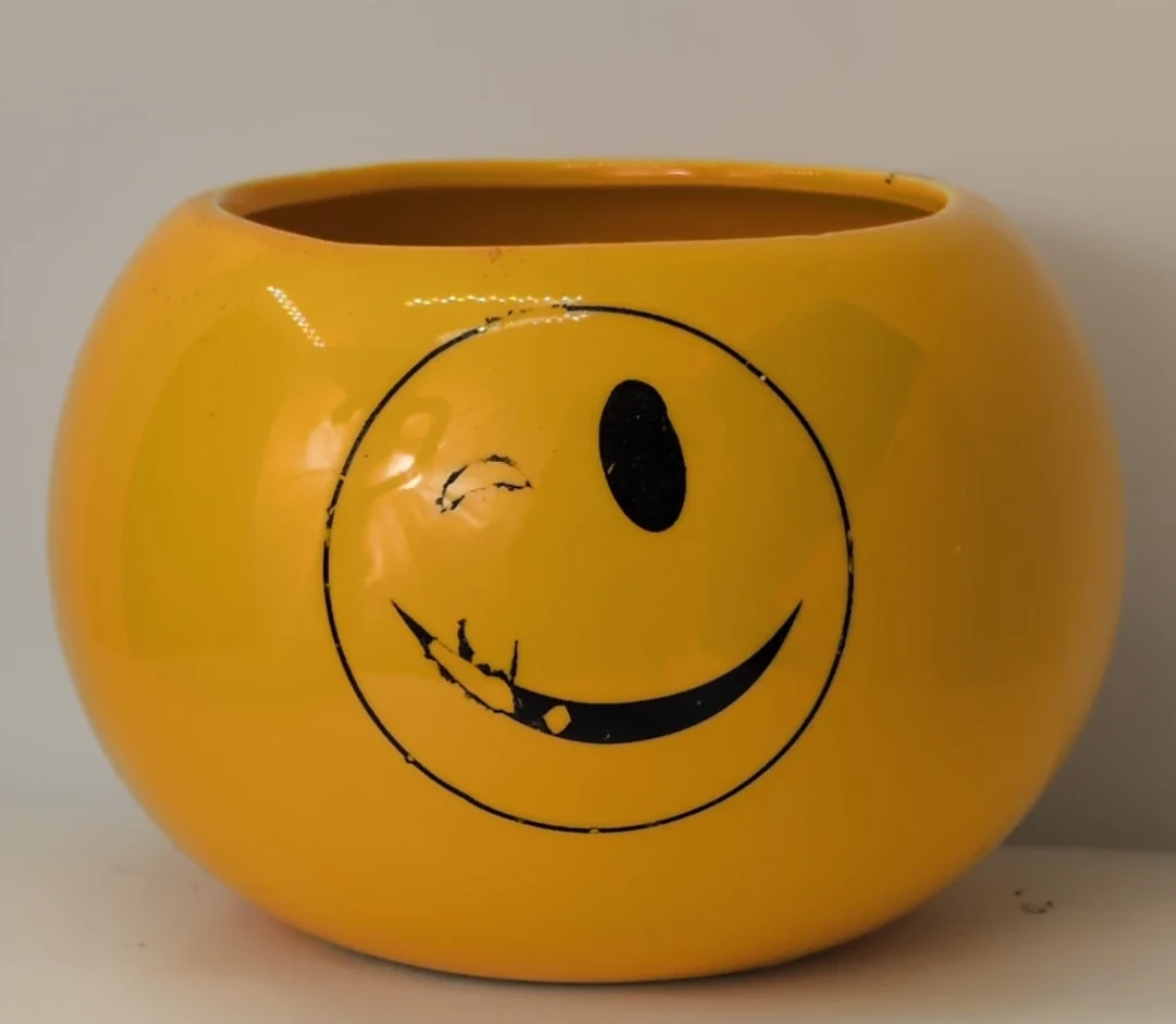 Yellow Smiley Face Pot