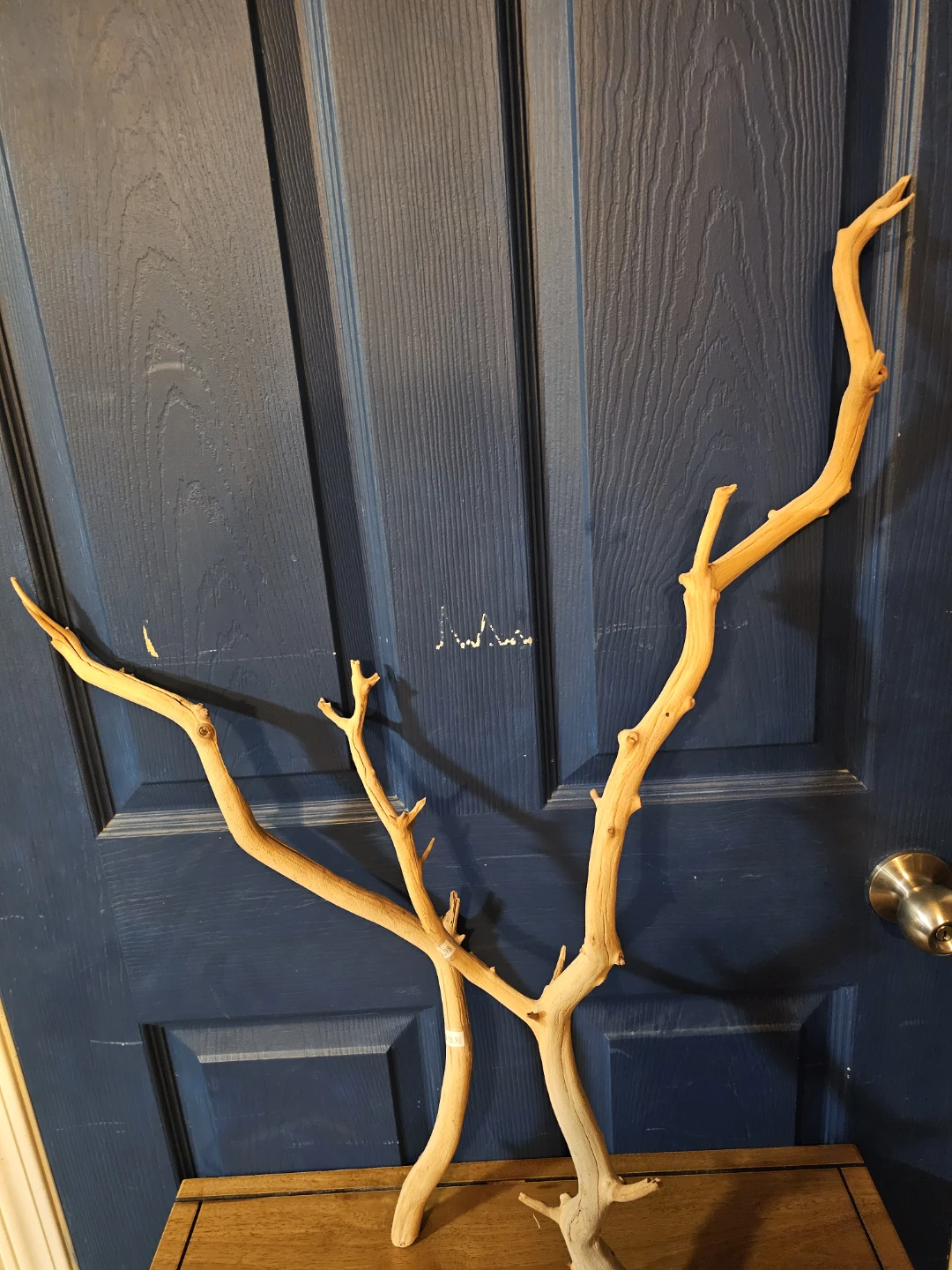 Aquarium driftwood  Branches