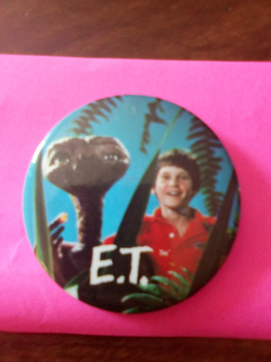 E.T. the Extra-Terrestrial Pin