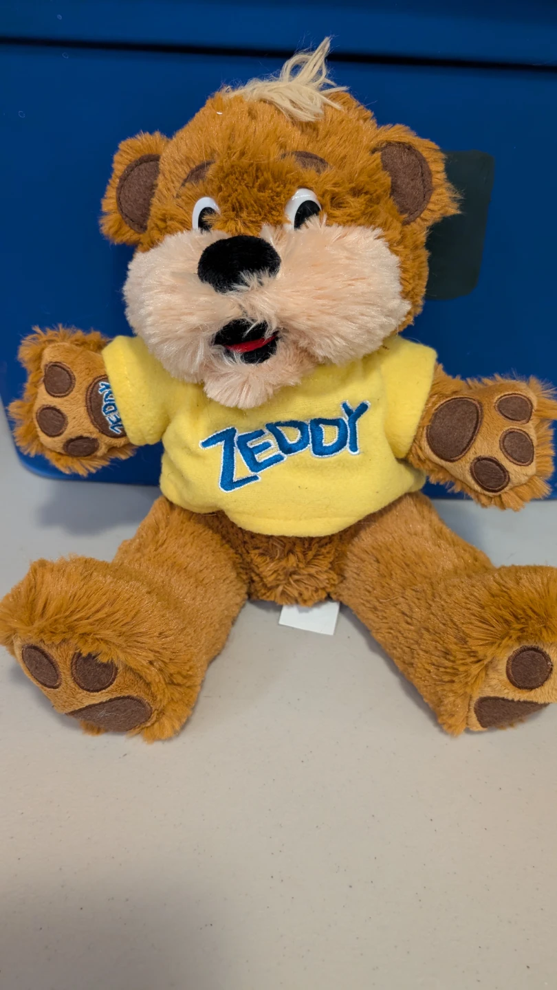 ZEDDY teddy bear by Zellers - photo 4