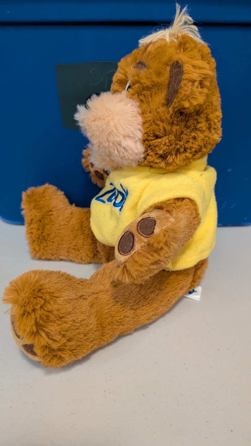 ZEDDY teddy bear by Zellers - photo 5