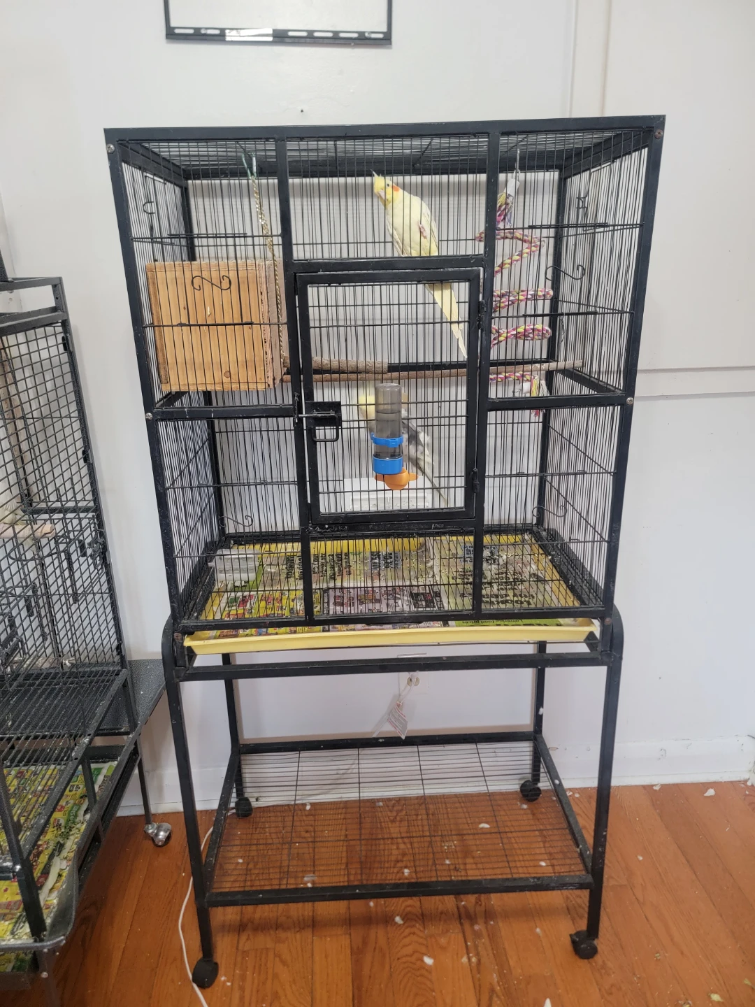 Large Bird Cage with Stand 31×31×19 tall 62"