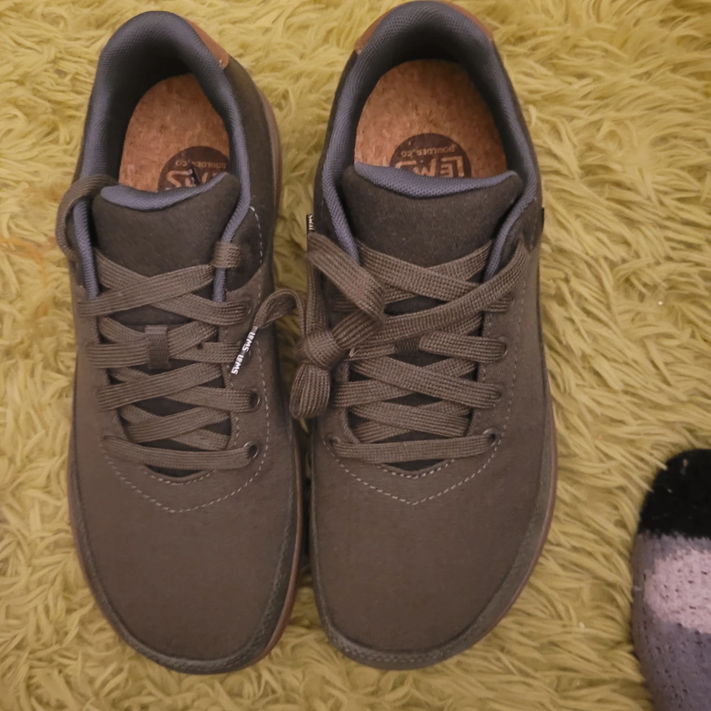 Lems Shoes Boulder Waterproof - Men's Size 10