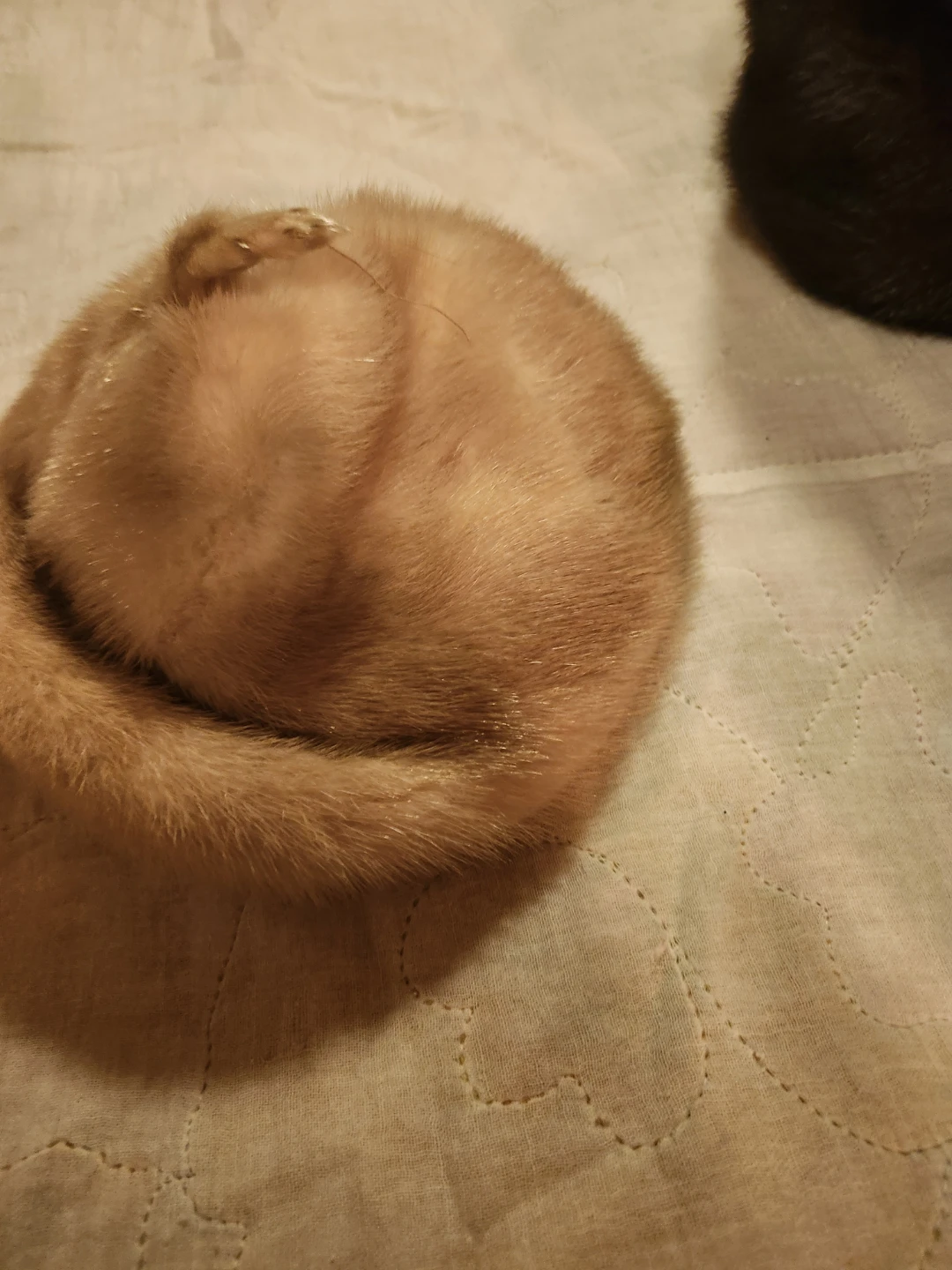 Light Brown Mink Fur Hat - photo 2
