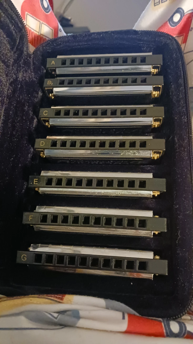 Vintage Hohner Harmonica Set with Case - photo 2