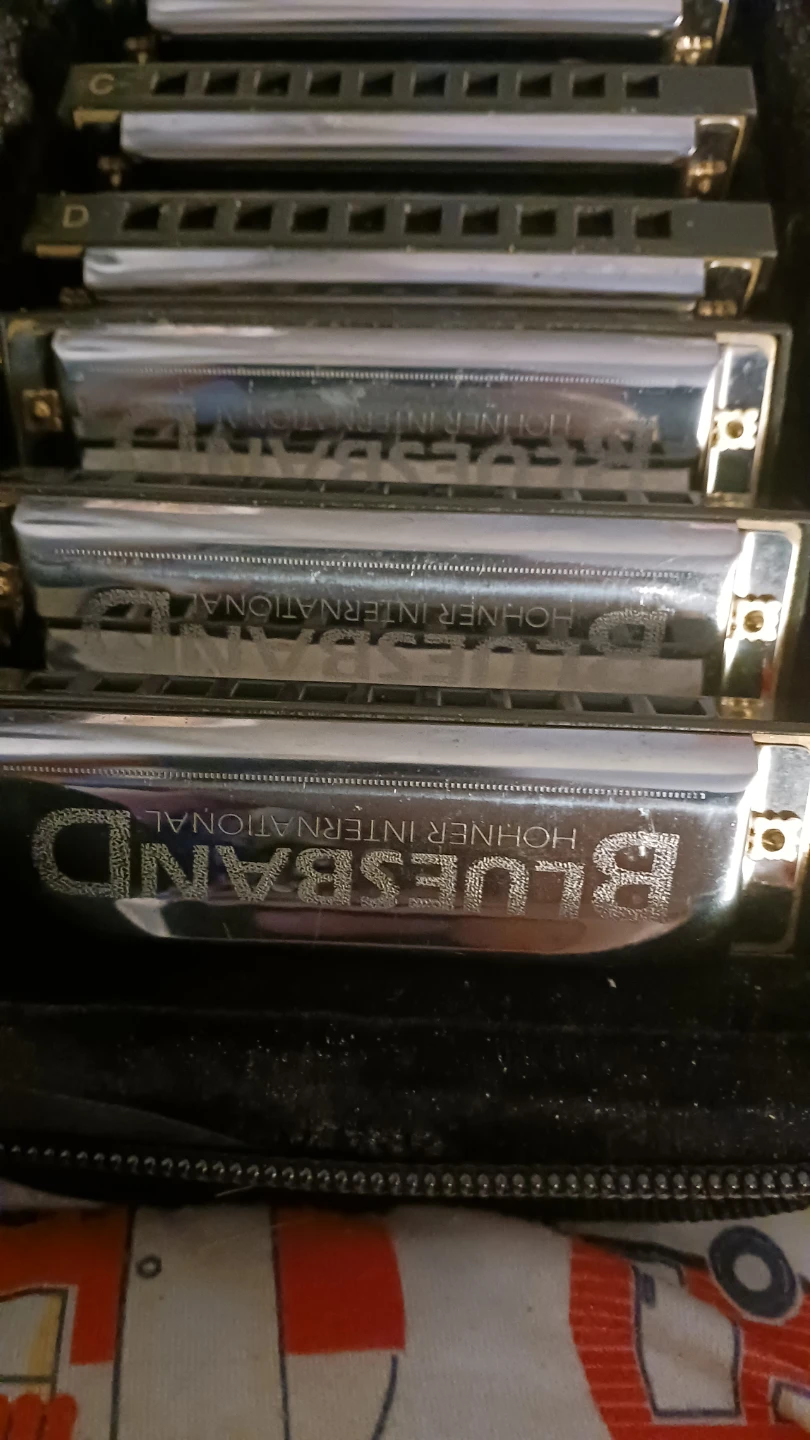Vintage Hohner Harmonica Set with Case - photo 3